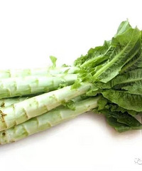 ͨ�����̵������߲�, ��������������Щ��