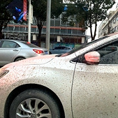 ����ȥ�����