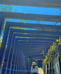 Ը��2022.02.22ǰ�ѵ�