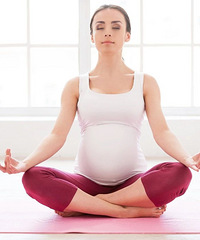 ׼�������ڰ���Ƣ����̥������䱩���