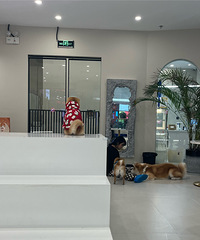 ����ߣ��Ȯ�ĵ꣬58����һ����