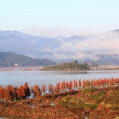 ��̶ˮ�������ļ���