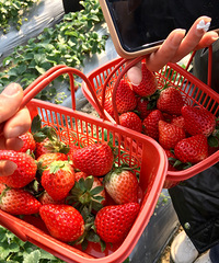 ���۸��᡿��Ů�ļ�����˼��