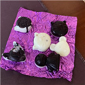 �����ĳ����ɿ���