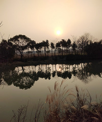 ������첻̫�䣬̤ѩѰ÷������