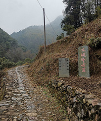 ����뻷��