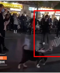 �𺳣�������Ů��ͷ����ǣ���б��飬����������СȦ̫���