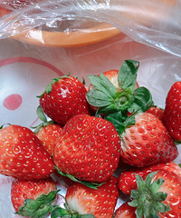 ·�ߵĲ�ݮ̯��������ң���ɼ����Σ�50һ��Բ���