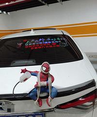 ���������ġ����˵�֩����