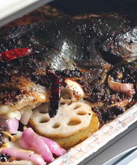 ��ҹ����ʳһ���ٲ����������㰲����