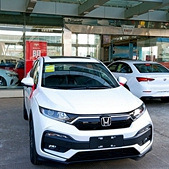 ��������xrv��������