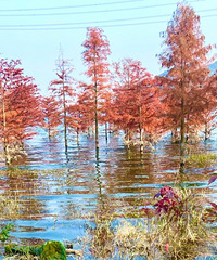 2021ܽ᡿Ӫҵ100%ȴֻ30%