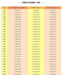 ̥���������ձ���ÿ������B������������һ�¿�����