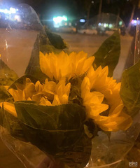 48�괴ҵʧ�ܺ�ת������װ������û��ʲô�������¿�ʼ