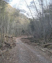 �����еĹ�·