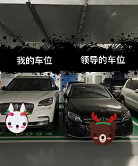 �쵼����ѳ�ͣ����������Ҹ���ô�죿