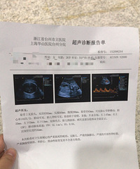 �������ٵĶ�̥��2022�����ռǡ�