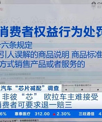 ŷ����èоƬ��թ���� �в������߱����޵�����