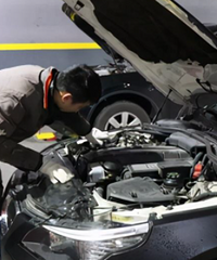 ����10��Ĺ���������3���û������̥��ɲ����Ҳû������