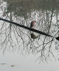 �������ġ����ﻨ��������