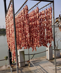 �����������ֱʣ���ô���㳦��û��ǧ�ѿ��²�����