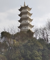 �������ġ���������ȥѲɽ���ҰѸ���תһȦ