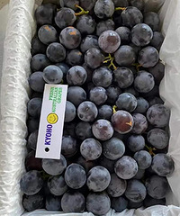 ƴ��౦����ʳ��