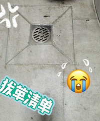 ��Ҫ���ƹ�¹�ש