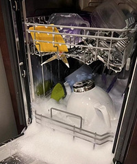 ϴ������������