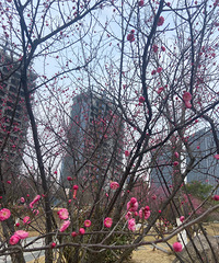 [����]������ͷ�����Ǽۣ�һ��һС��������70Ԫ