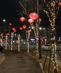 ��ζ����