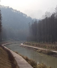 ̨�ݸ��ǻ��д˴�