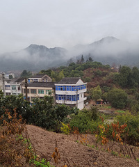 ����ţ��˴���Ұ����ɽ����ӳ����ɫ����