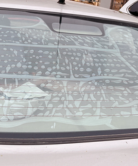 �ر����һ�����⣬Ϊʲô����̫��Ĥ�ĺ󵲺�����������