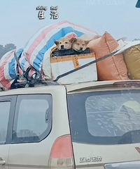 ����ֻſ��������������������ˣ������ؼ�����ʲôʱ��ż٣�