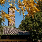 �����ٺ�