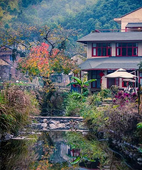 ȥ�ٺ�Ѱ��ζ