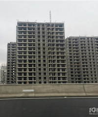 ɭȻ���������ͦ����