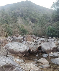 �������������