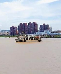 �����ֶ���״