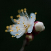 ��������л