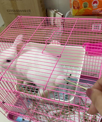 ���������������С���ӣ����������òݶ���