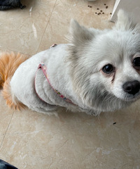 ˭�ҹ�����