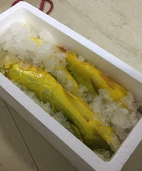 [�״�]��ҹ��궼�ڸ���ڼ��ɰ���;���������