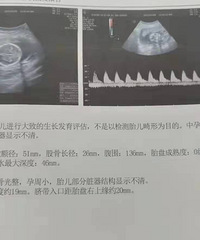 ��Ϊ����һֱ�����������ѣ������Ϲ���̤������֮·