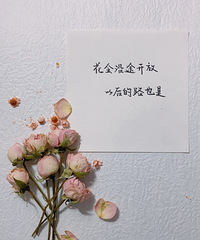 88-93����к��ӣ�����175+��ٶ����������������