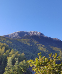 ��ѩ���磺������