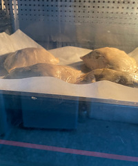 �����������֡�ǧ��ţ���