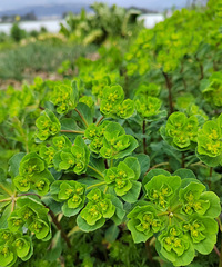 [������]ܽ�غ���ɫ����Ұ��һƬ��������