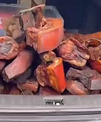 ������ɹ���ڷ��̵ĺ��䣬�ϱ����ͦ�����ѣ�����ů��������